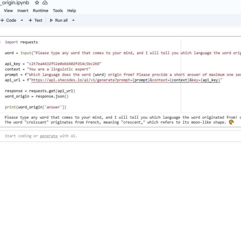 screenshot of python ai project